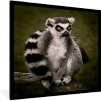 PosterMonkey Fotolijst incl. Poster - Aap - Tak - Dier - 30x40 cm - Posterlijst