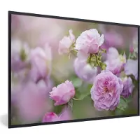 PosterMonkey Fotolijst incl. Poster - Planten van roze rozen groeien in de natuur - 30x20 cm - Posterlijst