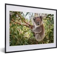 PosterMonkey Fotolijst incl. Poster - Koala - Boom - Bladeren - Kinderen - Jongens - Meiden - 40x30 cm - Posterlijst