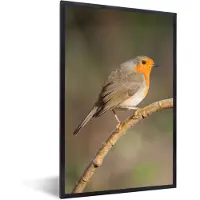 PosterMonkey Fotolijst incl. Poster - Roodborstje - Vogel - Natuur - 40x60 cm - Posterlijst