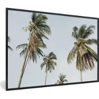 PosterMonkey Fotolijst incl. Poster - Palmen - Zomer - Tropisch - 60x40 cm - Posterlijst