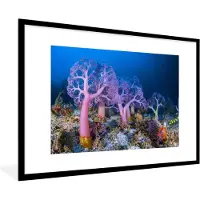 PosterMonkey Fotolijst incl. Poster - Koraal onder water - 90x60 cm - Posterlijst