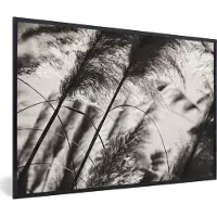 PosterMonkey Fotolijst incl. Poster - Pampasgras - Zwart - Wit - Plant - 120x80 cm - Posterlijst