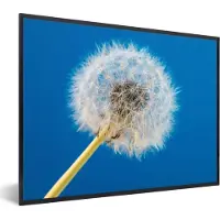 PosterMonkey Fotolijst incl. Poster - Paardenbloem - Bloem - Terras - 40x30 cm - Posterlijst