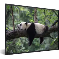 PosterMonkey Fotolijst incl. Poster - Panda - Boom - Dieren - Natuur - 40x30 cm - Posterlijst