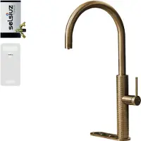 Selsiuz 5-in-1 kokend water kraan met cooler en combi extra boiler goud