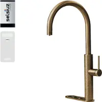 Selsiuz 5-in-1 kokend water kraan met cooler en single boiler goud