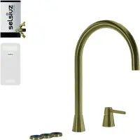 Selsiuz 5-in-1 kokend water kraan met cooler en combi extra boiler goud