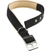 Ferplast Nylon Daytona C 25 Mm 53 Cm Hondenhalsband