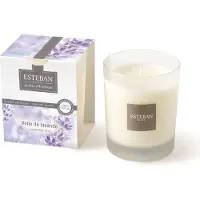 Esteban Voile de Lavande Geurkaars 170g