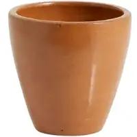 Nordal Juniper kopjes bruin set van 6 stuks - 9198