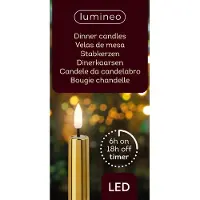 Lumineo LED dinerkaars d2h24 cm goud/wwt 2st kerst - Lumineo