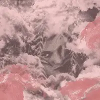 Ginza.se Dog Bite - Velvet Changes (CD)