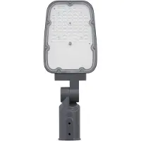 Ledvance Area Small 181980.LE.00.01 LED-straatverlichting LED Zonder 30 W Grijs