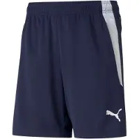 Puma Sportbroek 'Team Liga' navy / wit