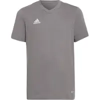 Adidas Functioneel shirt 'Entrada 22' grijs / wit