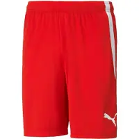 Puma Teamliga heren shorts rood maat XXL