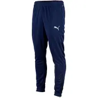 Puma Sportbroek 'Team Rise' navy / wit