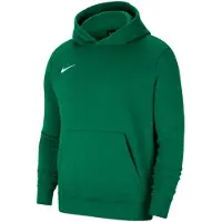 Nike Park 20 Fleece Hoodie Kids Groen