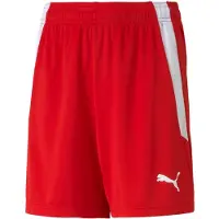 Puma Shorts teamLIGA - Rood Kids