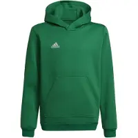 Adidas Sportief sweatshirt 'Entrada 22' | 116 | boy