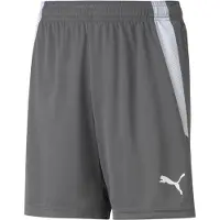 Puma Sportbroek 'TeamLiga' donkergrijs / offwhite
