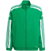 Adidas Squadra 21 Tracksuit Jacket Groen 13-14 Years Kinderen