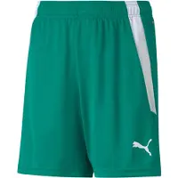 Puma 7/8 en 3/4 broeken Teamliga kind EU M