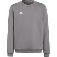 Adidas Sportief sweatshirt 'Entrada 22' donkergrijs / wit