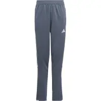 Adidas Tiro23 L Pants Blauw 5-6 Years Kinderen