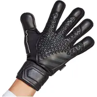 Adidas Pred Mtc Fs Goalkeeper Gloves Zwart 9.5