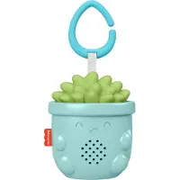 Fisher Price Soothe & Go Succulent Kinderwagen baby speelgoed muziek speeltje - Vetplant - 20x10x8cm