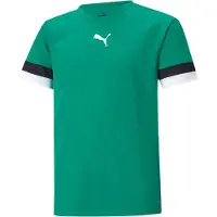 Puma Functioneel shirt 'TeamRise' smaragd / zwart / wit