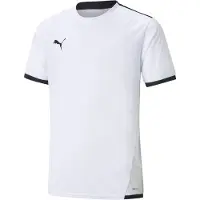 Puma Functioneel shirt 'TeamLiga' grijs / zwart / wit