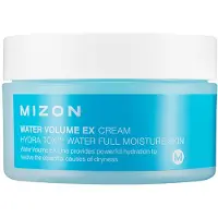 Mizon Water Volume Ex Cream 100 ml