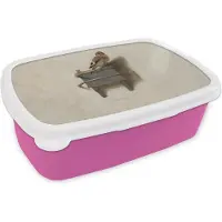 MuchoWow Broodtrommel Roze - Lunchbox Het Puttertje - Schilderij - Fabricius - Oude Meester - Brooddoos 18x12x6 cm - Brood lunch box - Broodtrommels voor kinderen en volwassenen