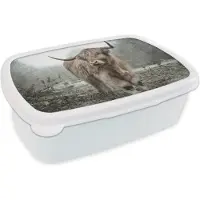 MuchoWow Broodtrommel Wit - Lunchbox - Brooddoos - Schotse Hooglander - Bos - Mist - Koe - Dieren - Natuur - 18x12x6 cm - Volwassenen