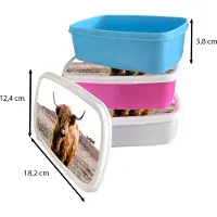 MuchoWow Broodtrommel Blauw - Lunchbox - Brooddoos - Schotse hooglander - Landschap - Koe - Bruin - Dieren - Natuur - 18x12x6 cm - Kinderen - Jongen