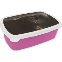 MuchoWow Broodtrommel Roze - Lunchbox - Brooddoos - Schotse hooglander - Goud - Koebel - Hoorns - Dieren - 18x12x6 cm - Kinderen - Meisje
