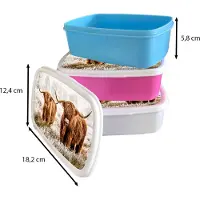 MuchoWow Broodtrommel Roze - Lunchbox - Brooddoos - Schotse hooglander - Koe - Natuur - Winter - 18x12x6 cm - Kinderen - Meisje