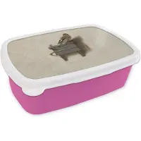 MuchoWow Broodtrommel Roze - Lunchbox Het Puttertje - Schilderij - Fabricius - Oude Meester - Brooddoos 18x12x6 cm - Brood lunch box - Broodtrommels voor kinderen en volwassenen