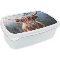 MuchoWow Broodtrommel Wit - Lunchbox - Brooddoos - Schotse hooglander - Koe - Dieren - Berg - Natuur - 18x12x6 cm - Volwassenen