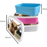 MuchoWow Broodtrommel Roze - Lunchbox - Brooddoos - Schotse Hooglander - Koe - Gras - Dieren - Natuur - 18x12x6 cm - Kinderen - Meisje