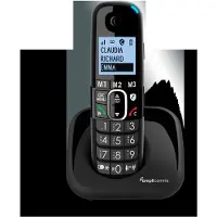 Amplicomms BigTel 1500, DECT-telefoon, Draadloze headset, Luidsprekerfunctie, Identificatie van het nummer, Zwart