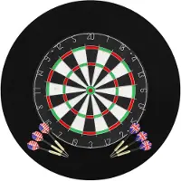 vidaXL Dartbord professioneel met 6 darts en surround sisal