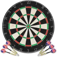vidaXL Dartbord professioneel met 6 darts sisal
