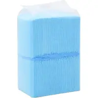 vidaXL Huisdierentrainingsdoekje 100 st 45x33 cm nonwoven stof
