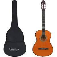 vidaXL 12-delige Gitaarset klassiek beginner 4/4 39"
