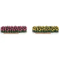 Luville Molendam | Tulpenveld | 10 x 4,5 x 2 cm