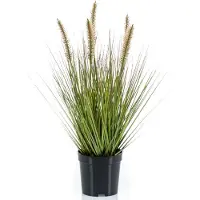 Emerald Kunstplant - siergras - groen - 45 cm - Kunstplanten